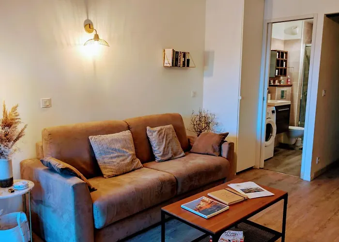 Cosy T2 Refait A Neuf Climatise, Vue Mer Avec Terrasse Et Jardin, Wifi Piscine Tennis Et Parking