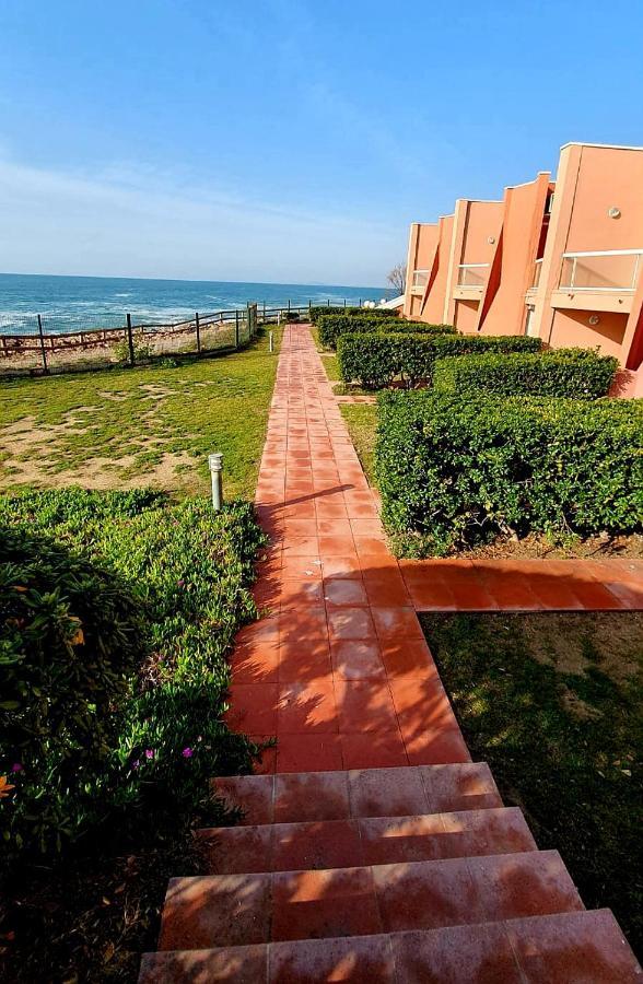 Apartment Cosy T2 Refait A Neuf Climatise, Vue Avec Terrasse Et Jardin, Wifi Piscine Tennis Et Parking